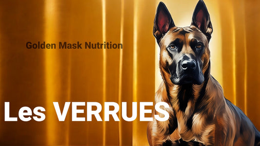 Verrues chez le chien