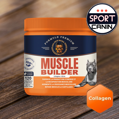 MUSCLES ET SPORTS CANINS