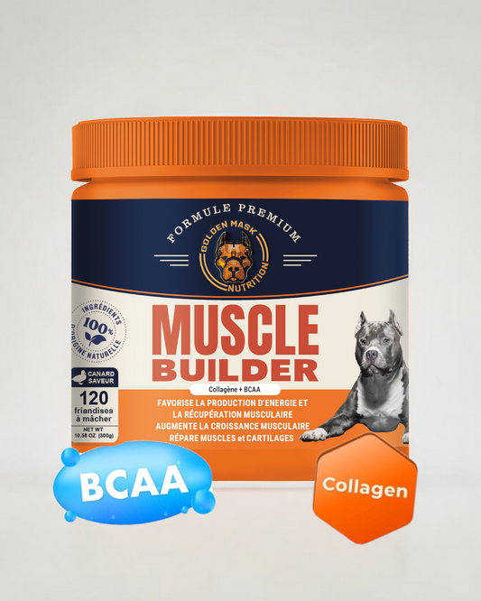 2+1 MUSCLES ET SPORTS CANINS - goldenmask.fr