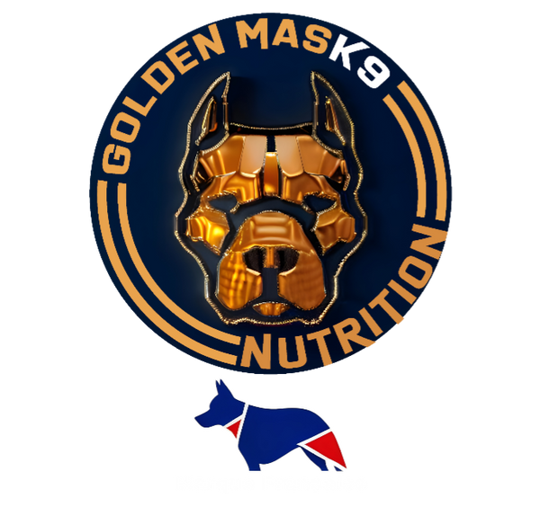 goldenmask.fr