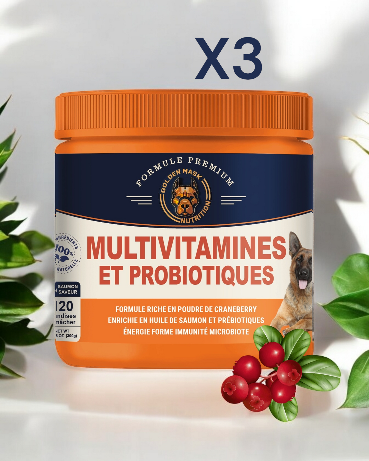 LOT DE 3 MULTIVITAMINES MINERAUX PROBIOTIQUES